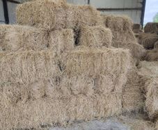 New Organic Small Square Hay Bales