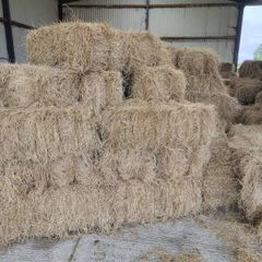 New Organic Small Square Hay Bales