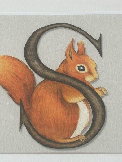 S is for Squirrel by Irish artist Belinda Northcote