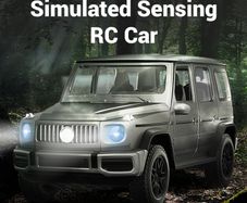 Simulated Sensing Head light Off- Rad Racing RC Car
