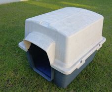 Plastic Dog or Cat Kennel/House with Navy Blue Cushion
