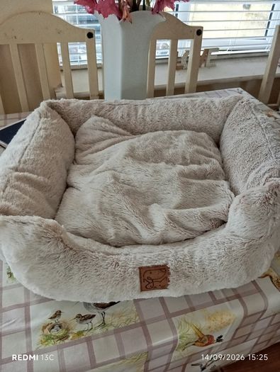 Dogs bed