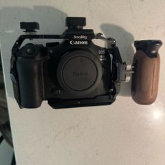 canon r6 mk iii camera