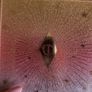 Charlotte Tilbury thebeautyverse palette Image 3