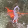 Wolves In The Throne Room - Black Cascade Image 9
