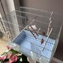 Bird Cage Image 2