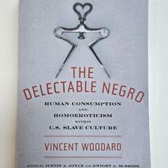 The Delectable Negro - American Slavery History Book