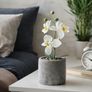 Artificial Orchid Plant, 30cm (Including Pot) Image 3