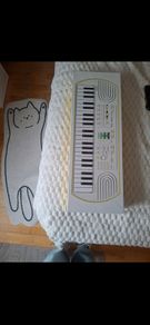 brand new Casio SA-80 mini keyboard