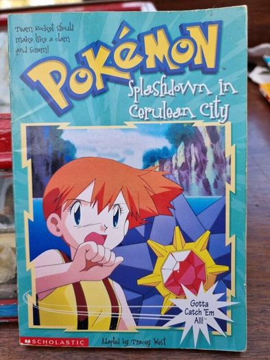 Pokemon book bundle