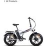 E bike Image 8