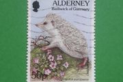 STAMP - Alderney - Hedgehog