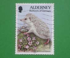STAMP - Alderney - Hedgehog