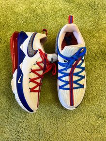 Lebron 17 low tune squad trainers