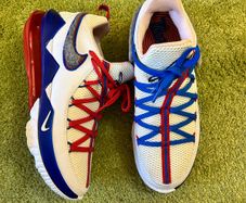 Lebron 17 low tune squad trainers