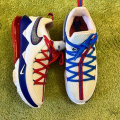 Lebron 17 low tune squad trainers