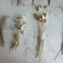 Decorative Dried flowers for events. Image 3