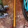 Dyson V8 Upright Vacuum Cleaner Image 5