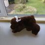 Bear Soft Toy Image 5
