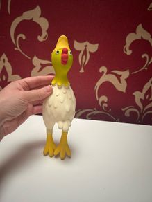 Rubber chicken. Pet toy