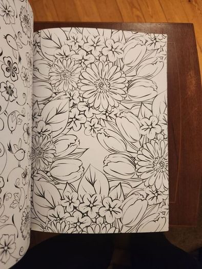 The Flowers And Nature Colouring Book.  Large Volume Paperback In Good Condition.