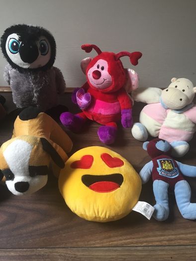 Teddies / Soft Toys / Books etc - New Zealand