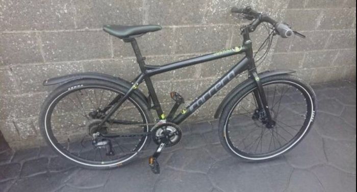 Bike Carrera Subway 2