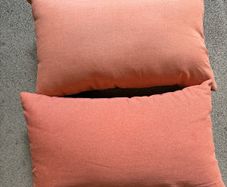 Two Outdoor Cushions and 50x50cm cushion insert