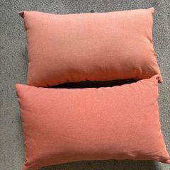 Cushions and insert