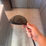 Ping G425 LST Driver Left Hand Image 2
