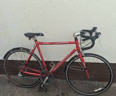 Giant racer bike