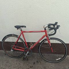 Giant racer bike