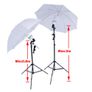 44232 Umbrella Set 2 Umbrella Continuous Lighting Image 2