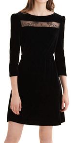 Maje Remano Lace Inset Velvet Dress