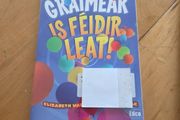 Is feidir leat irish grammer bn