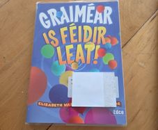 Is feidir leat irish grammer bn