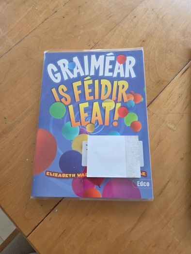 Is feidir leat irish grammer bn