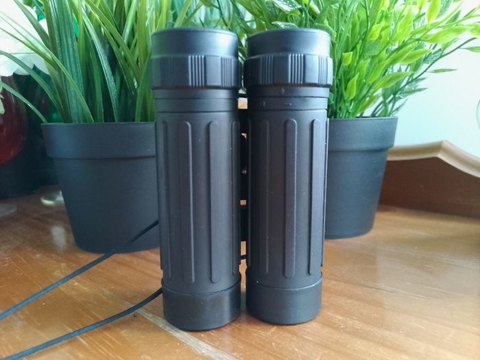 Vintage Minox BD 10x25 Compact Binoculars, German Precision Optics, Rare 99m/1000m Field of View,Folding Pocket Binoculars, Original Styling