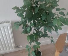 Artificial Tree