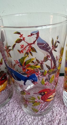 Vintage Set of 1960's Arcoroc Luminarc Exotic Bird Tumblers