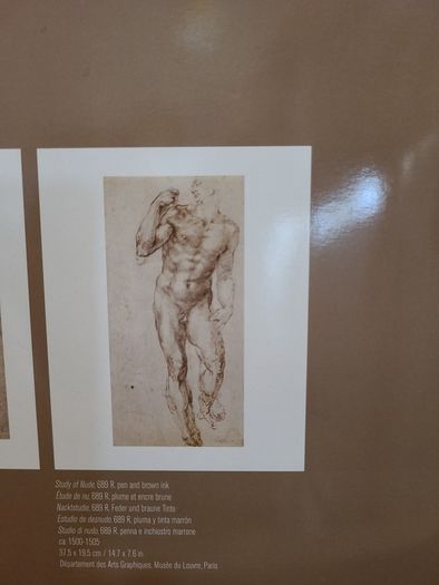 Michelangelo Prints