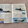 Ocean book for kids Image 2