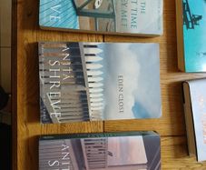3 anita shreve novels the pilots wife and others