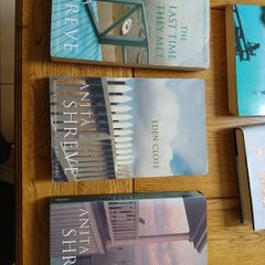 3 anita shreve novels the pilots wife and others