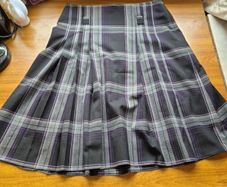 Polish Pleated Skirt size 14-16.