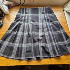 Polish Pleated Skirt size 14-16.