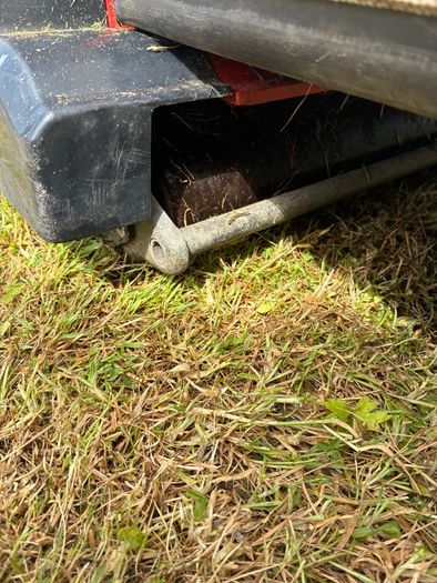 roller lawnmower