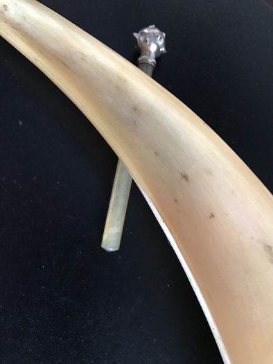 Horn trinket tray