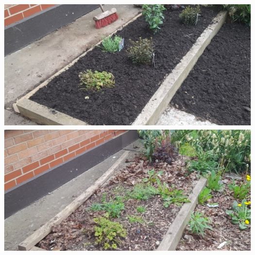 Garden maintenance