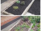 Garden maintenance Image 5